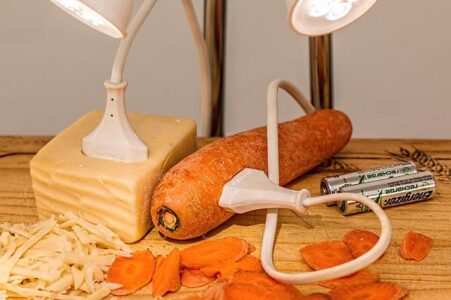La valorisation énergétique des déchets et ses implications sur les efforts de décarbonisation
