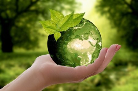 Responsable du développement durable : Pour quoi ? Et pour qui ?
