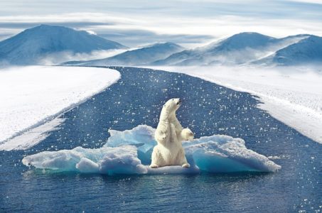 Le rôle des banques face aux risques climatiques