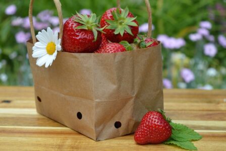 <strong>Comment des emballages innovants peuvent éviter les déchets et le gaspillage alimentaire</strong>