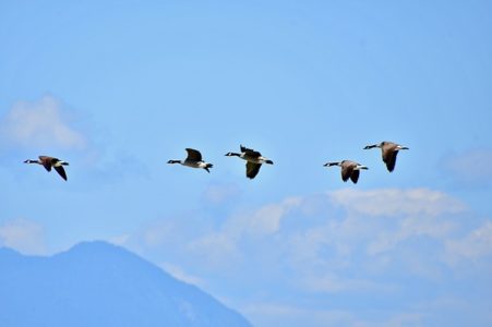 Affirmer son leadership en 3 étapes